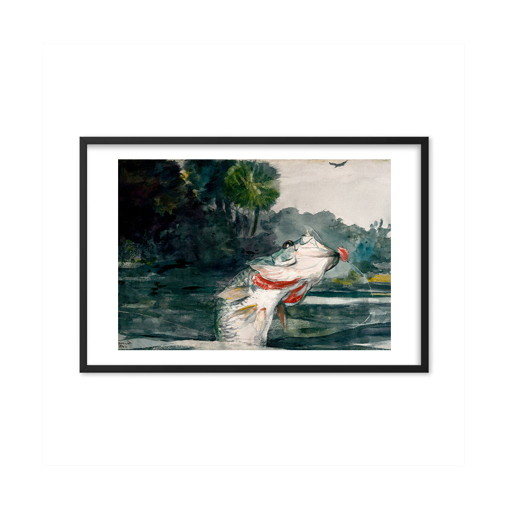 Life-Size Black Bass