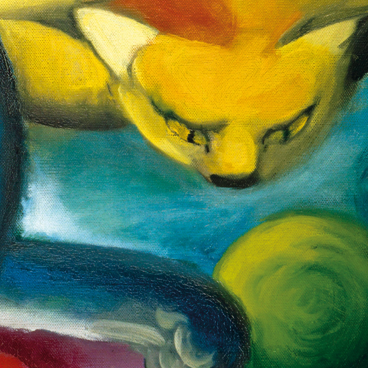 Zwei Katzen, blau und gelb