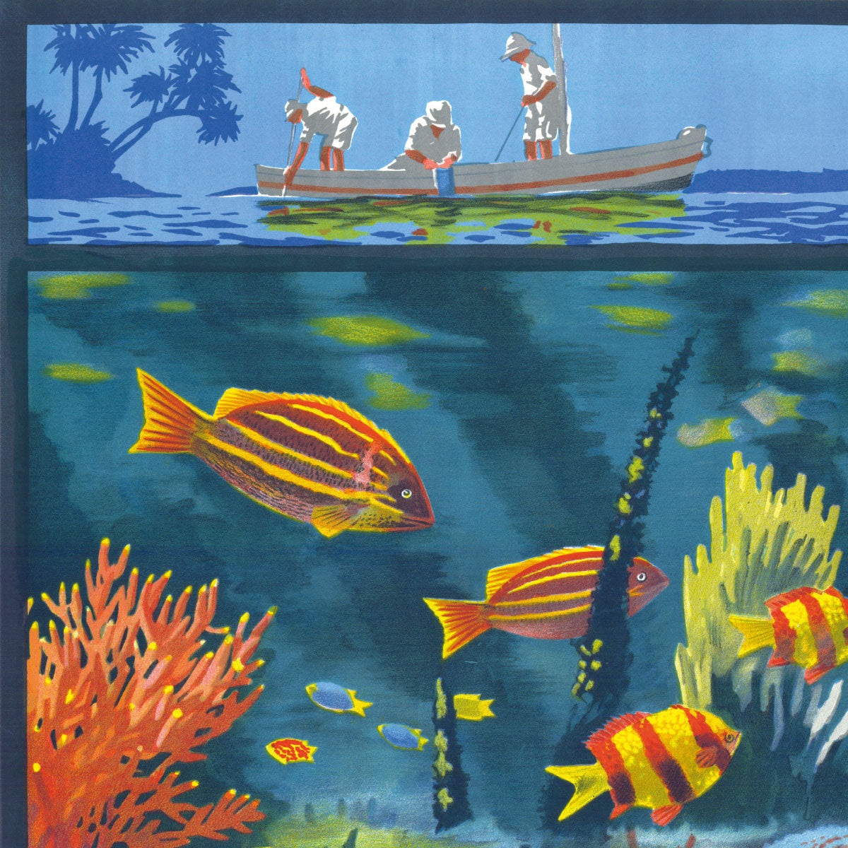 The Marine Wonders of the Great Barrier Coral Reef