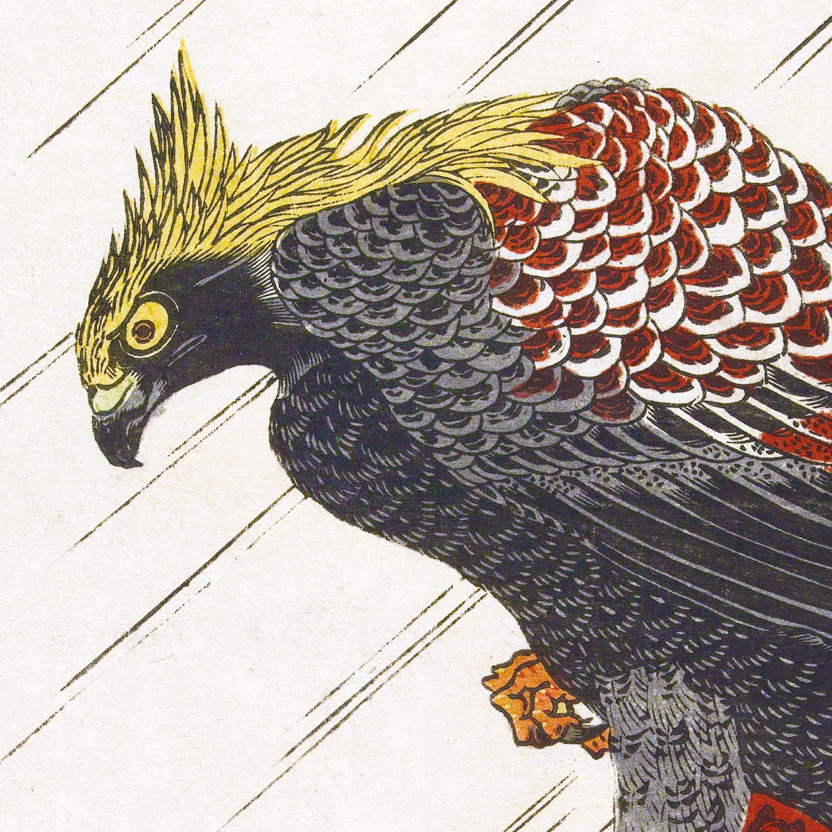 Adler auf Kiefernzweig im Regen