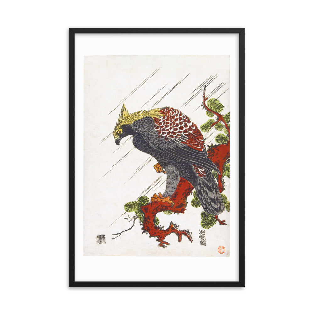 Adler auf Kiefernzweig im Regen