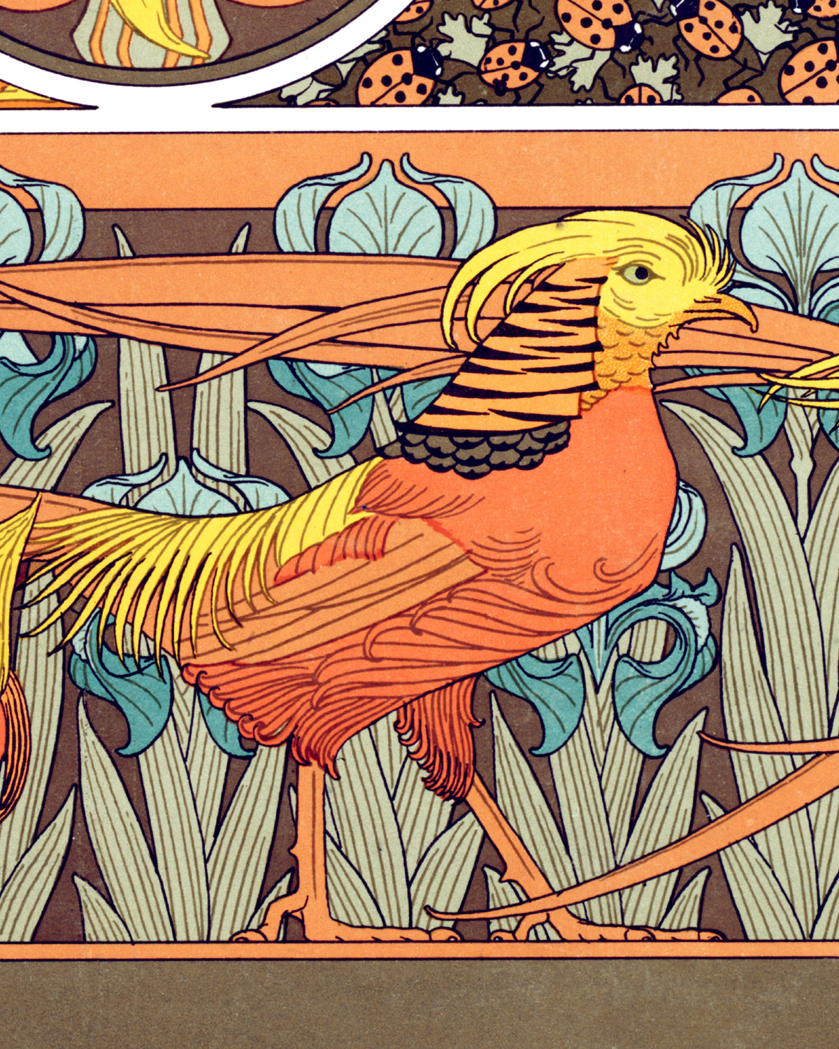 Oiseaux