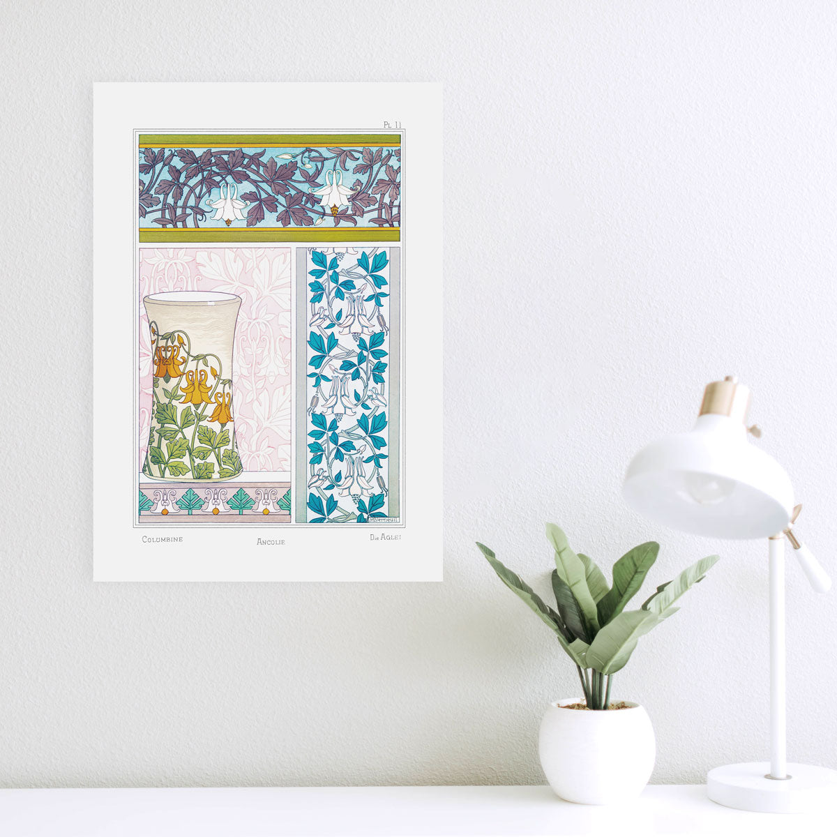 Ancolie (Akelei) - #11