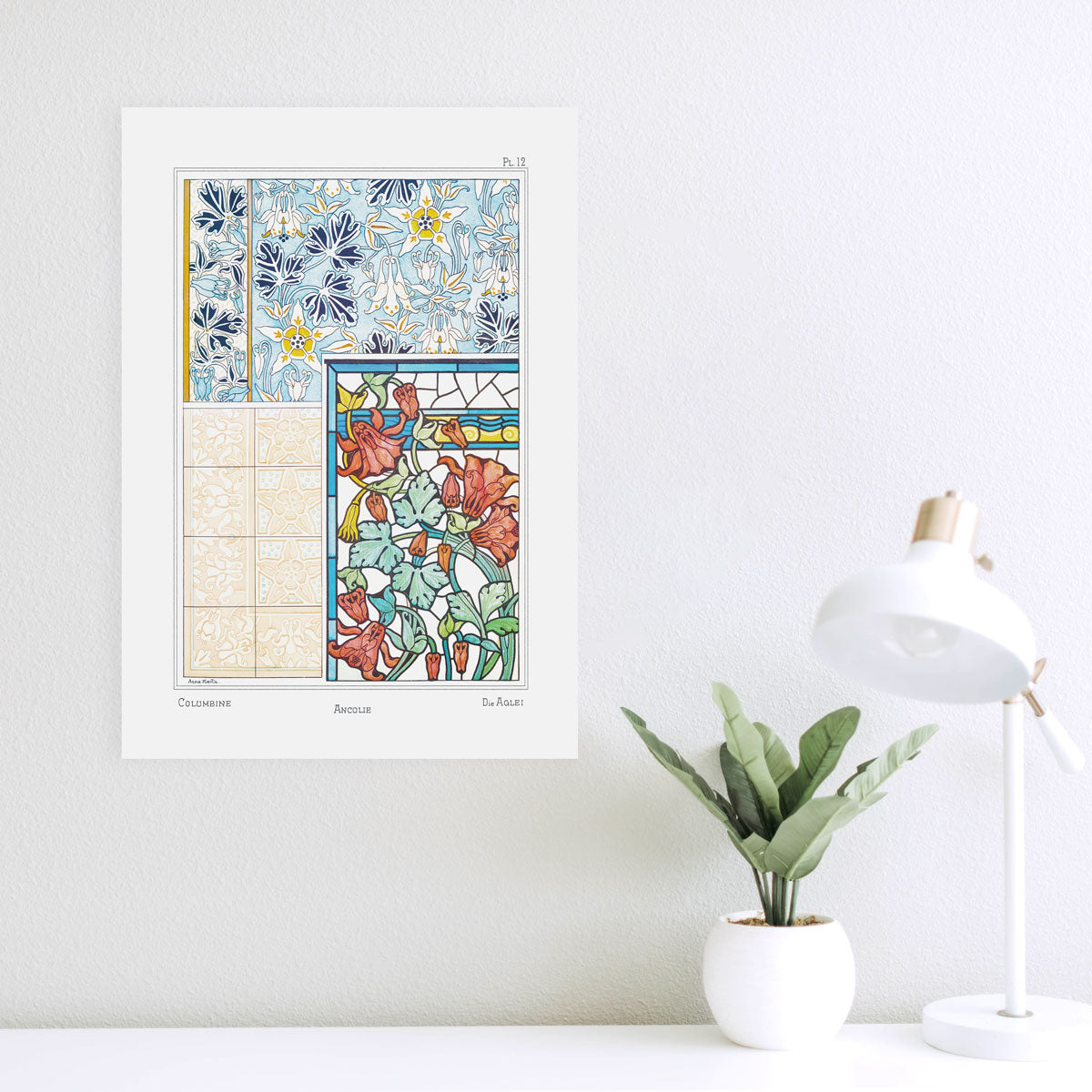 Ancolie (Akelei) - #12