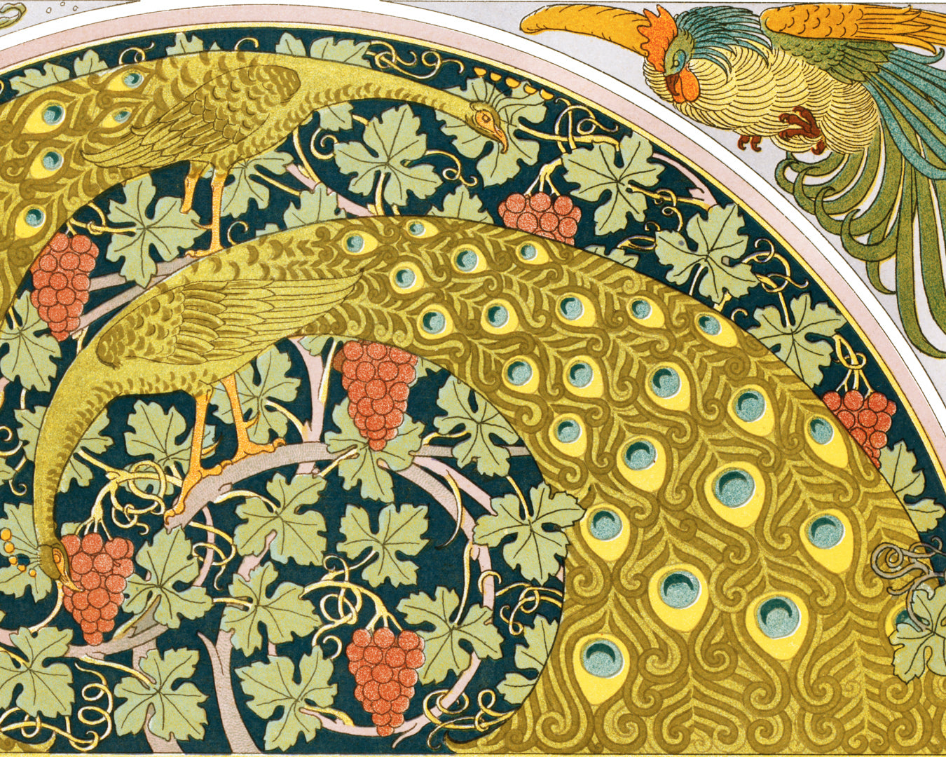 Poissons et algues