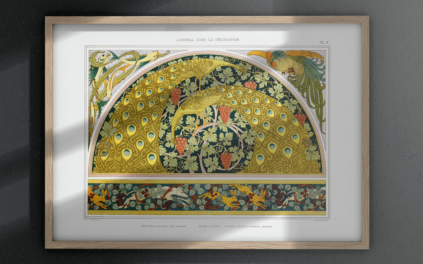 Poissons et algues