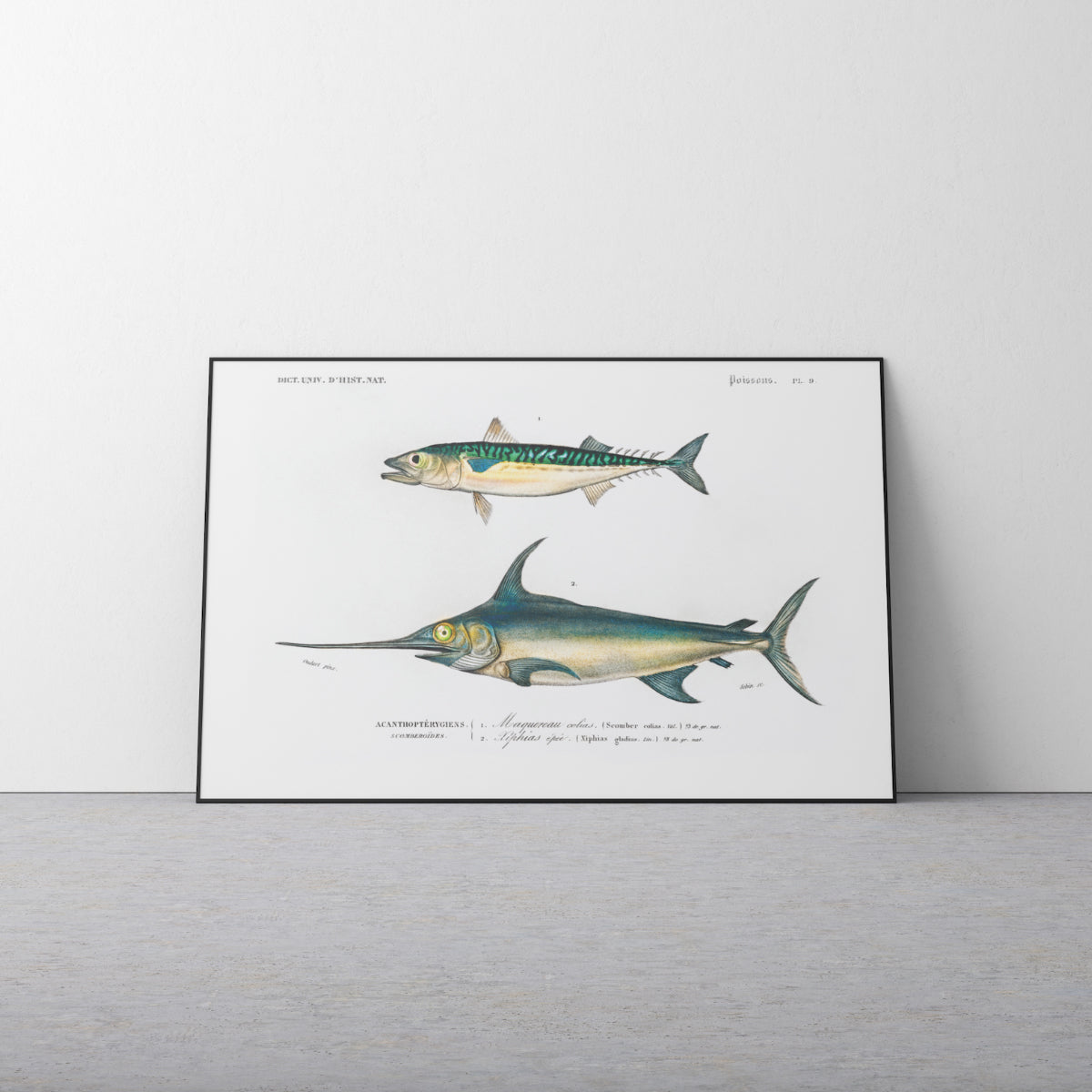 Fische