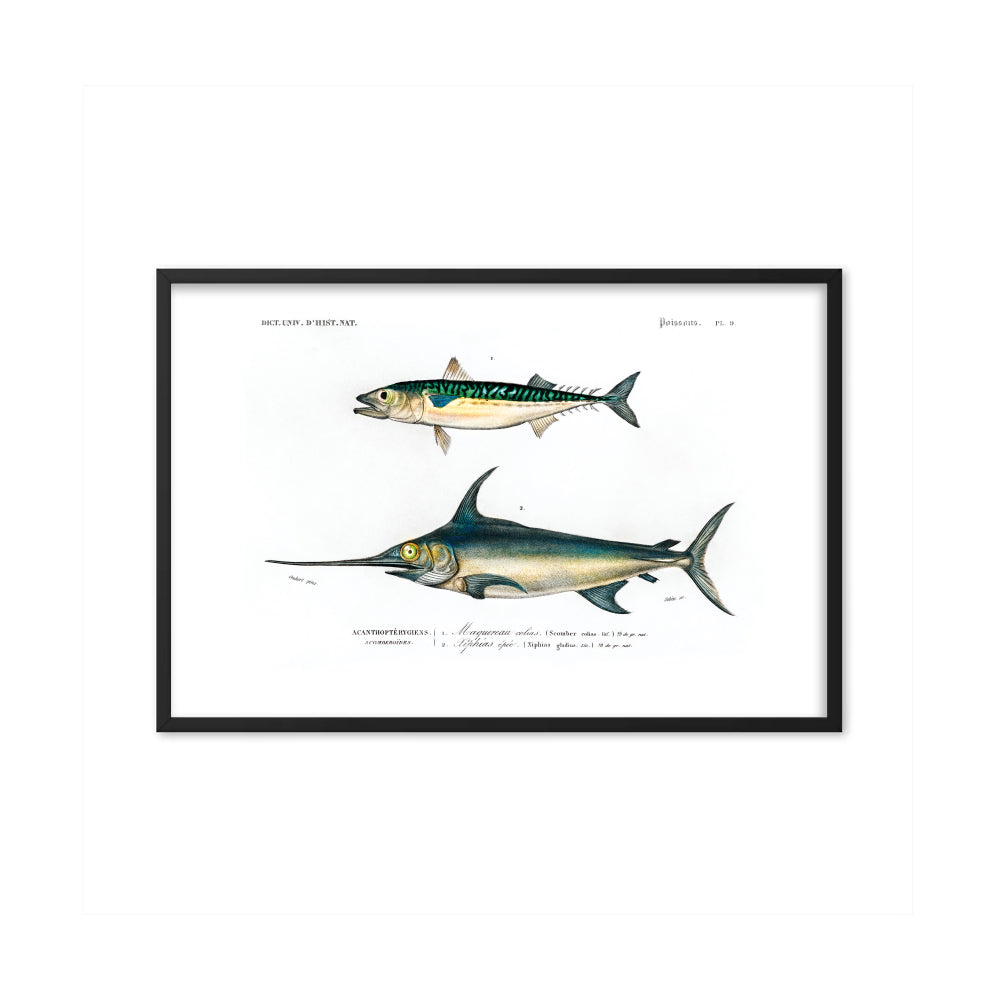 Fische