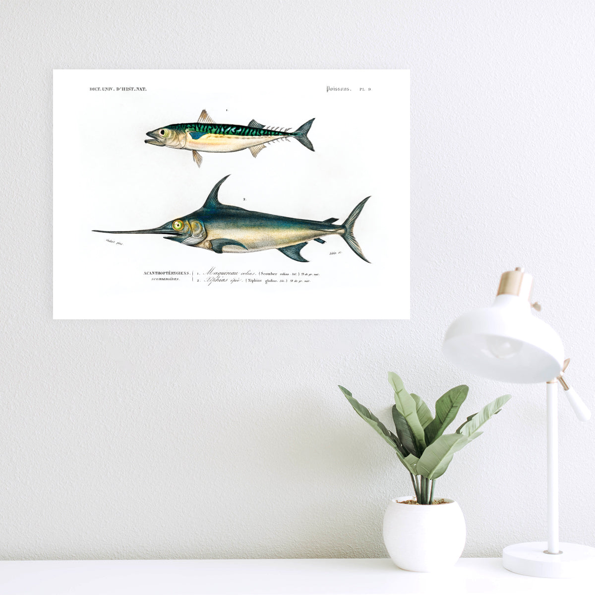 Fische