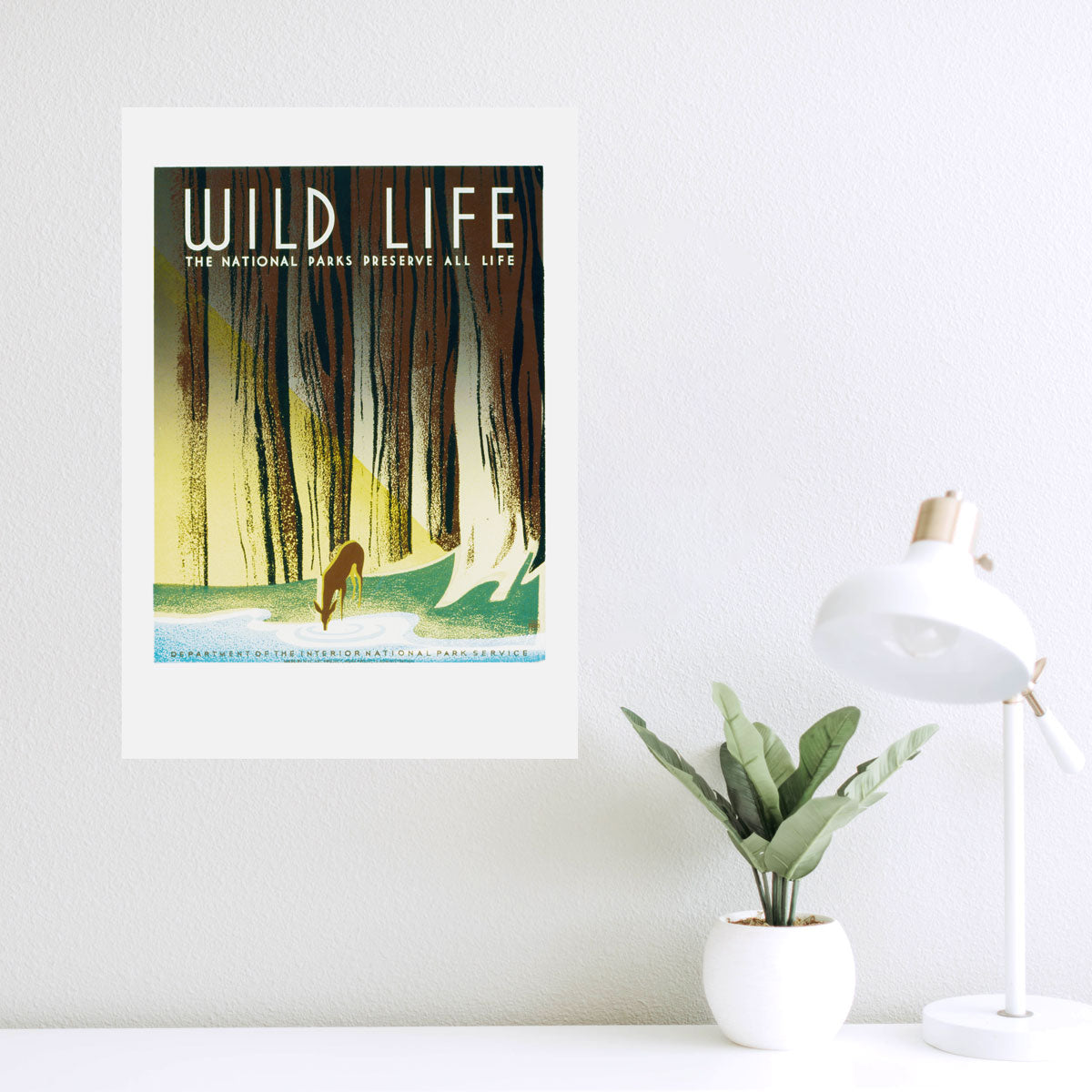 Wild Life - The national parks preserve all life