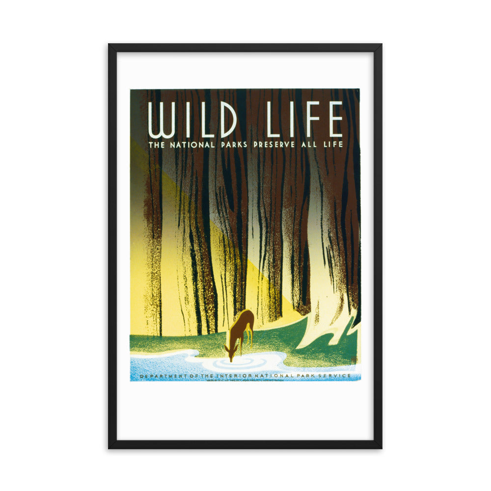 Wild Life - The national parks preserve all life